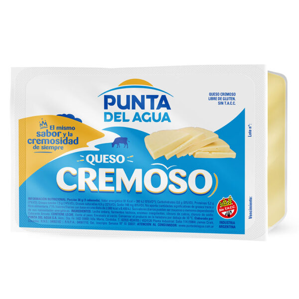 Creemy Soft Cheese Punta de Agua 24 x 1,19 lb.